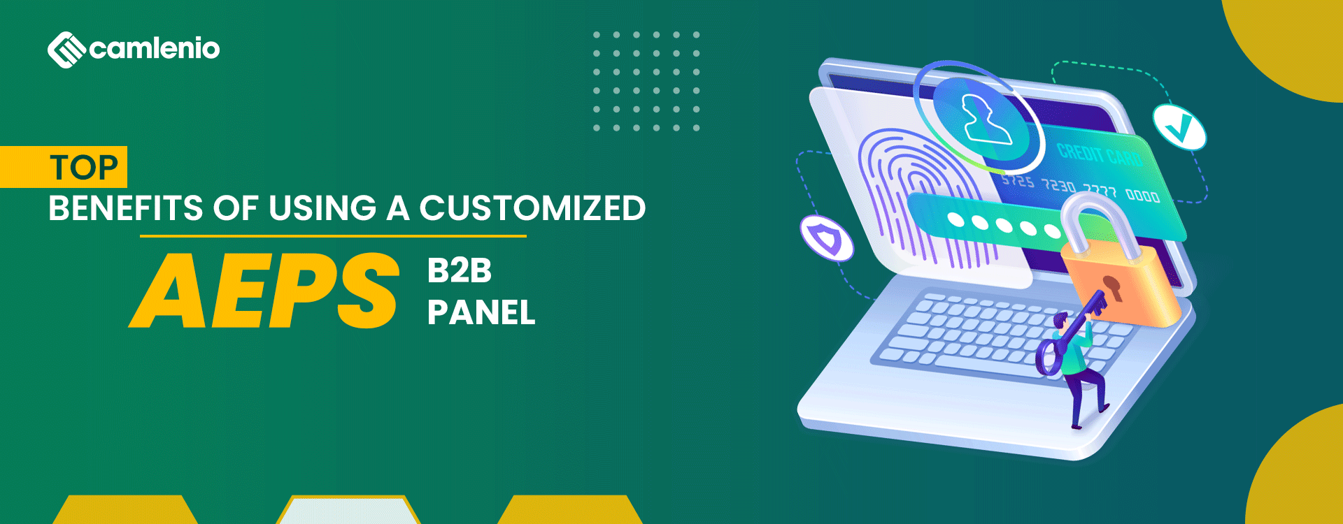 Top Benefits of Using a Customized AEPS B2B Panel