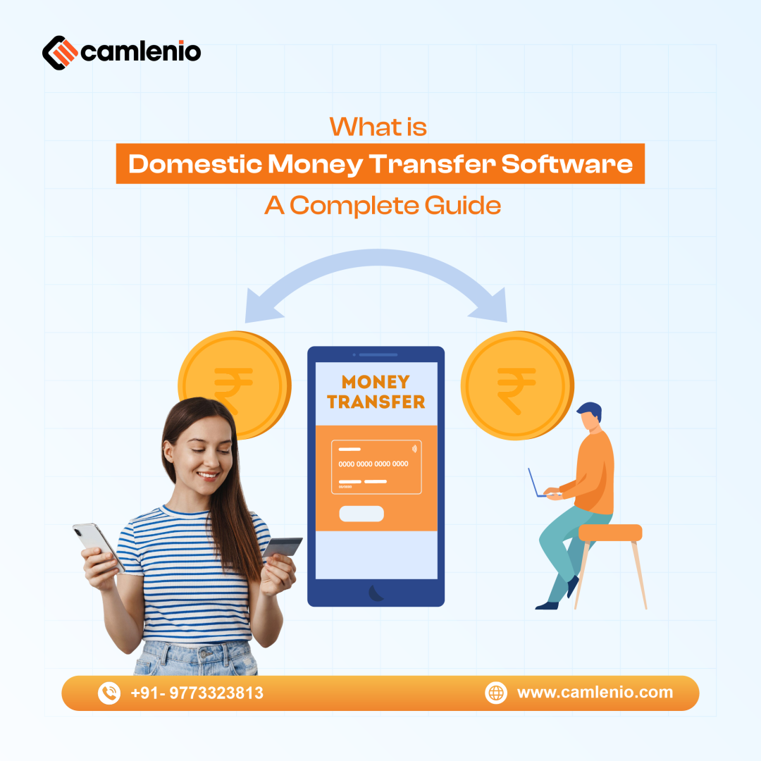 Domestic Money Transfer Software