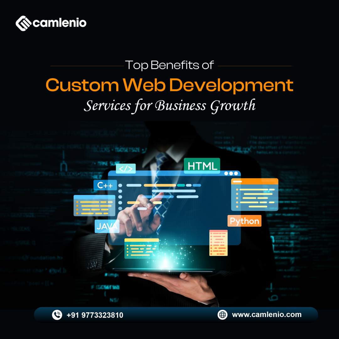 Custom Web Development Services